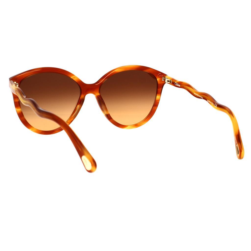 商品Chloé|CHLOÉ Sunglasses,价格¥1642,第6张图片详细描述