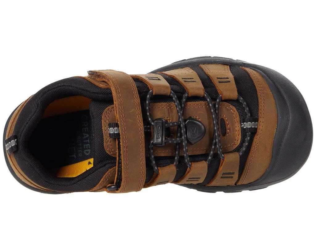 商品Keen|Newport Shoe (Little Kid/Big Kid),价格¥385-¥398,第2张图片详细描述