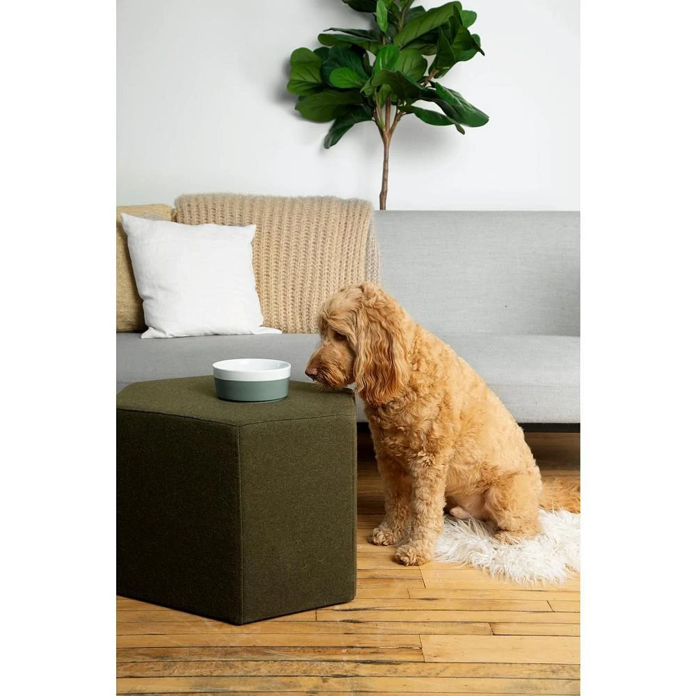 商品Waggo|Dog Dipper Bowl Medium Yellow -,价格¥127,第2张图片详细描述