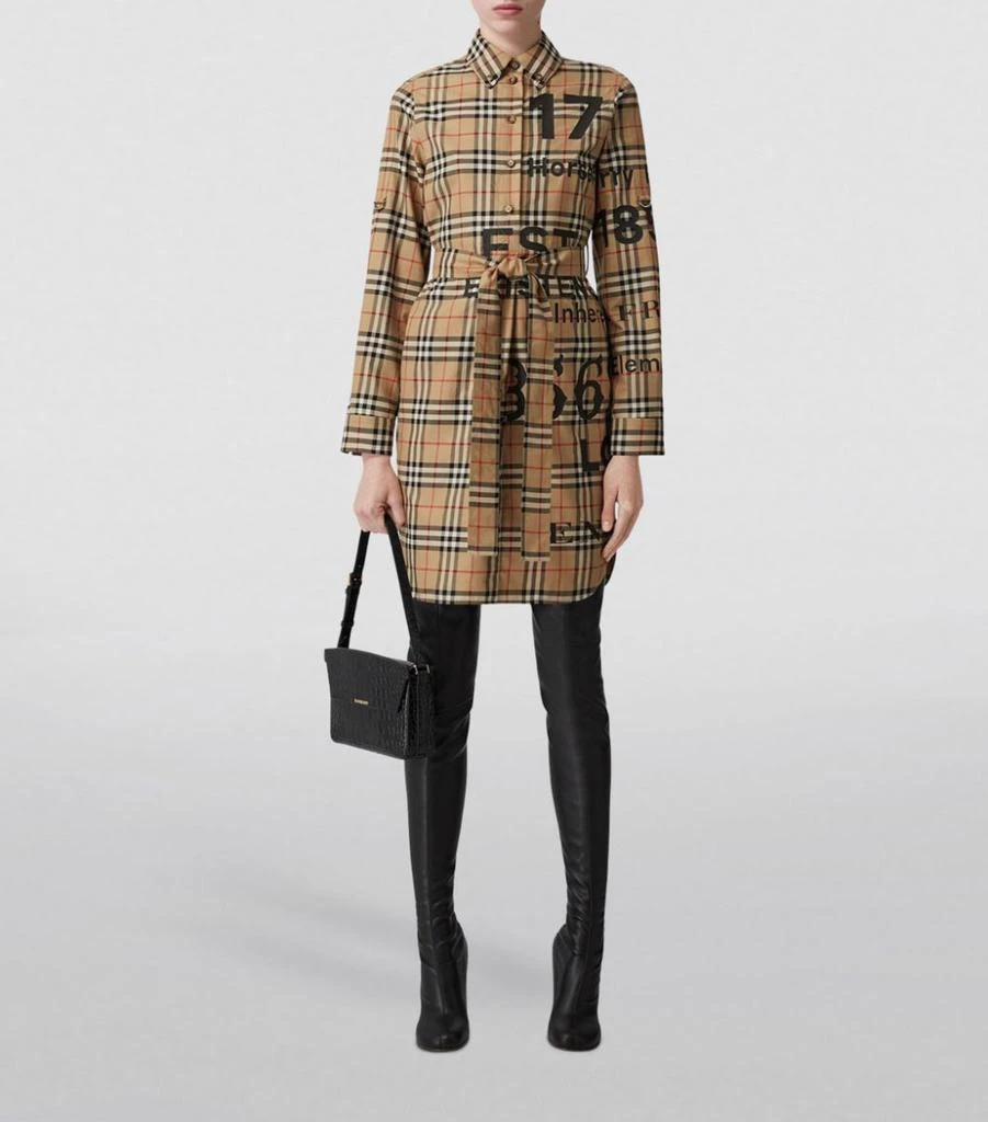 商品Burberry|Vintage Check Shirt Dress,价格¥7345,第2张图片详细描述