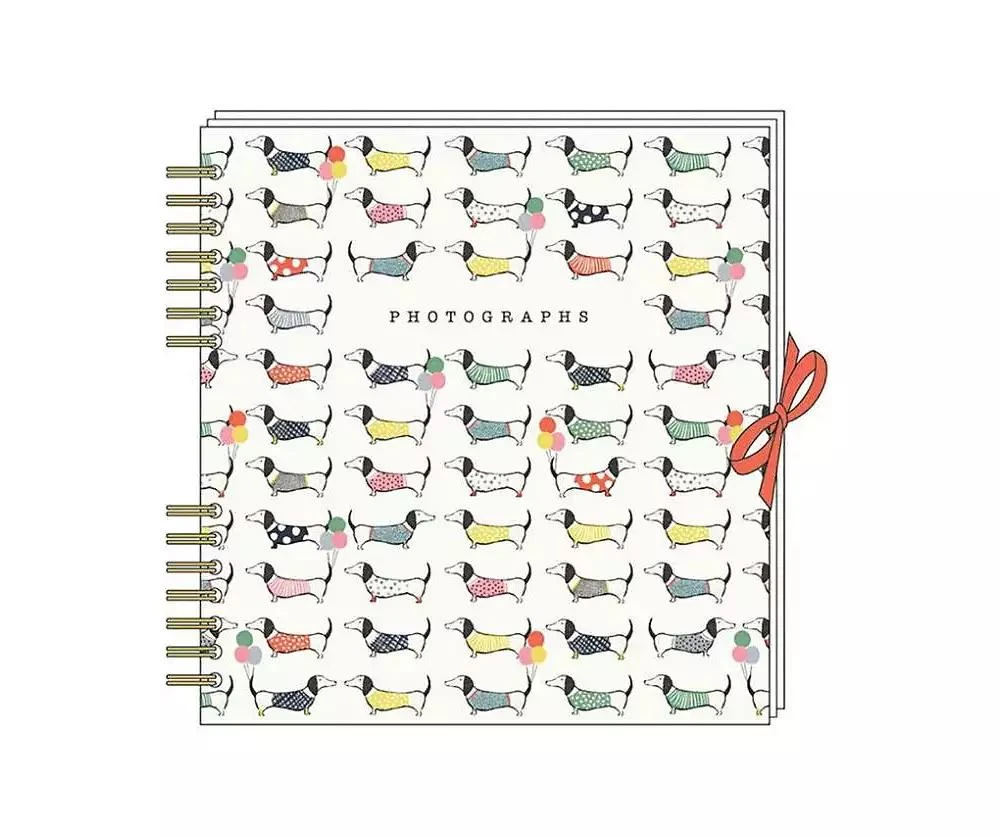商品Barnes & Noble|Call Me Frank Dog Square Photo Album by NOTES & QUERIES,价格¥251,第1张图片