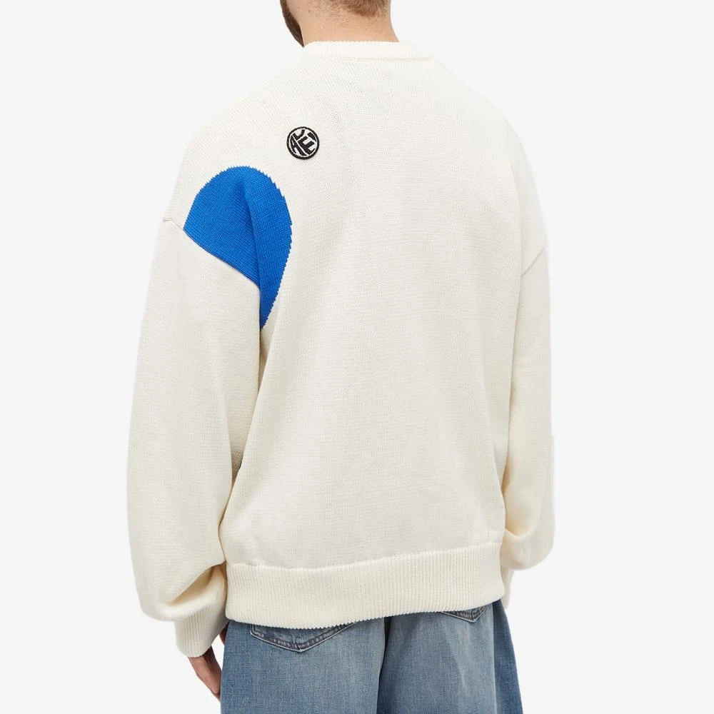商品ADER error|ADER Error Together Logo Crew Knit,价格¥2606,第3张图片详细描述