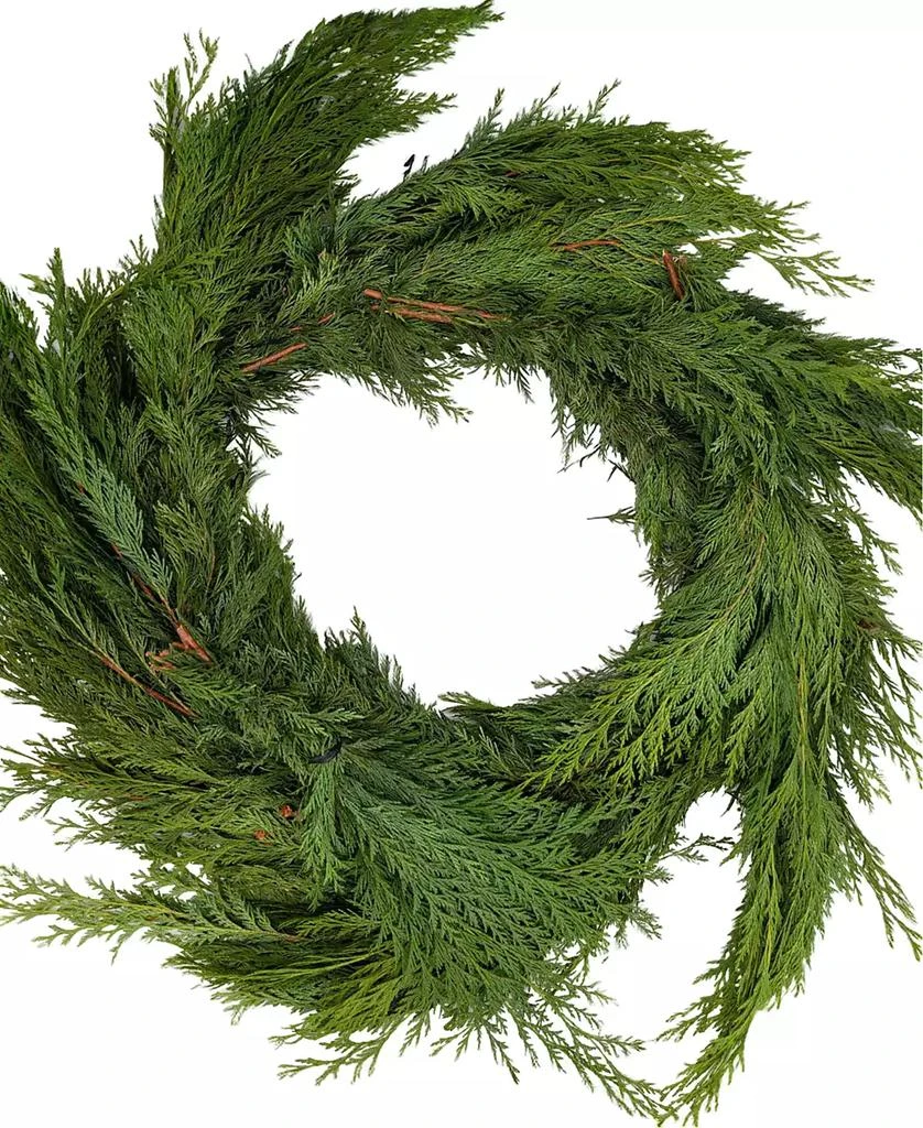 商品International Christmas Innovation|Fresh Premier Cedar Garland, 25',价格¥546,第1张图片