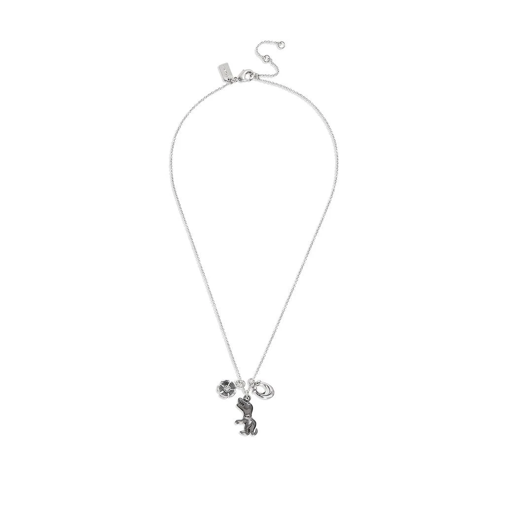 商品Coach|Rexy Charm Pendant Necklace,价格¥1684,第2张图片详细描述