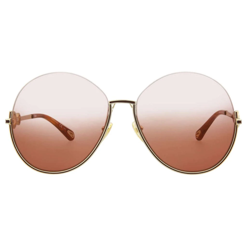 商品Chloé|Chloe Women's Multi Sunglasses,价格¥1862,第3张图片详细描述