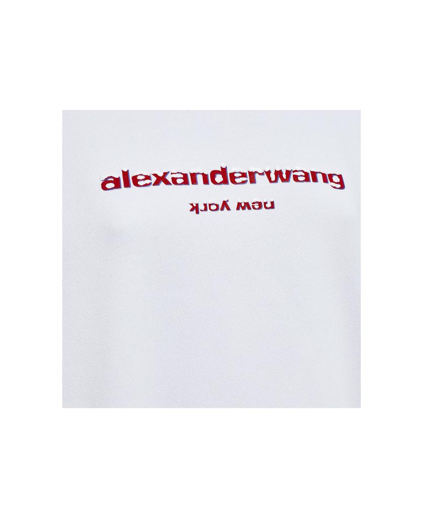 Alexander Wang Sweatshirt With Graphic商品第3张图片规格展示