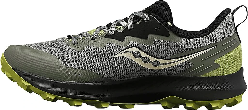 Peregrine 14 Gtx Shoes - Men's 商品