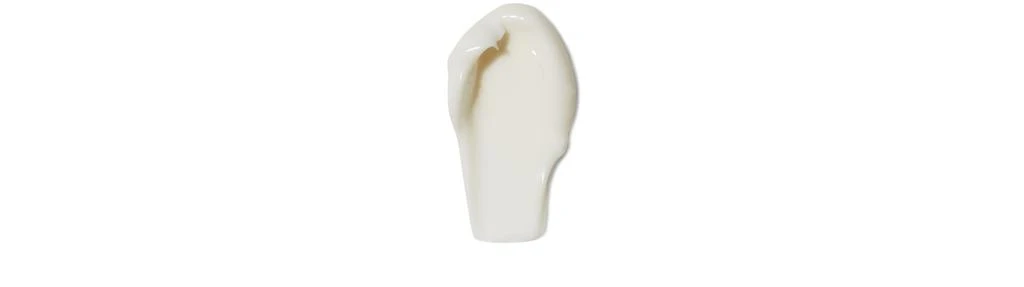 商品Dr. Barbara Sturm|丽颜滋润面霜 50ml,价格¥1875,第4张图片详细描述