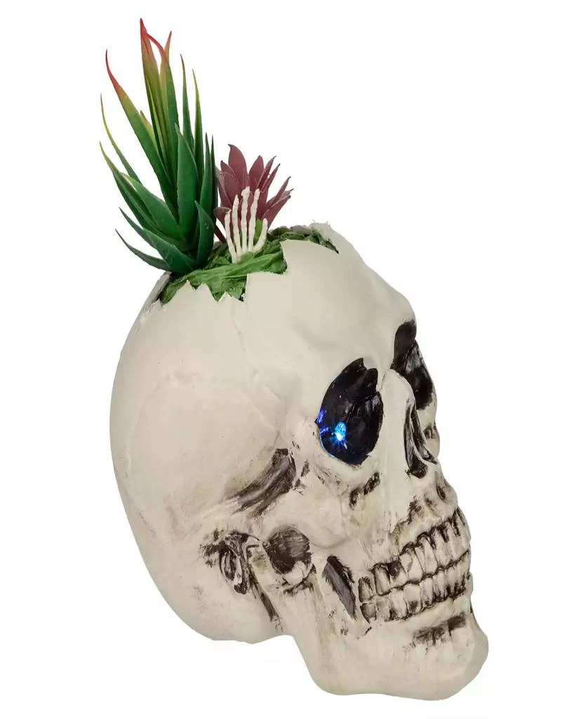 商品Northlight|8.75" LED Lighted Succulent Halloween Skull Planter,价格¥522,第2张图片详细描述
