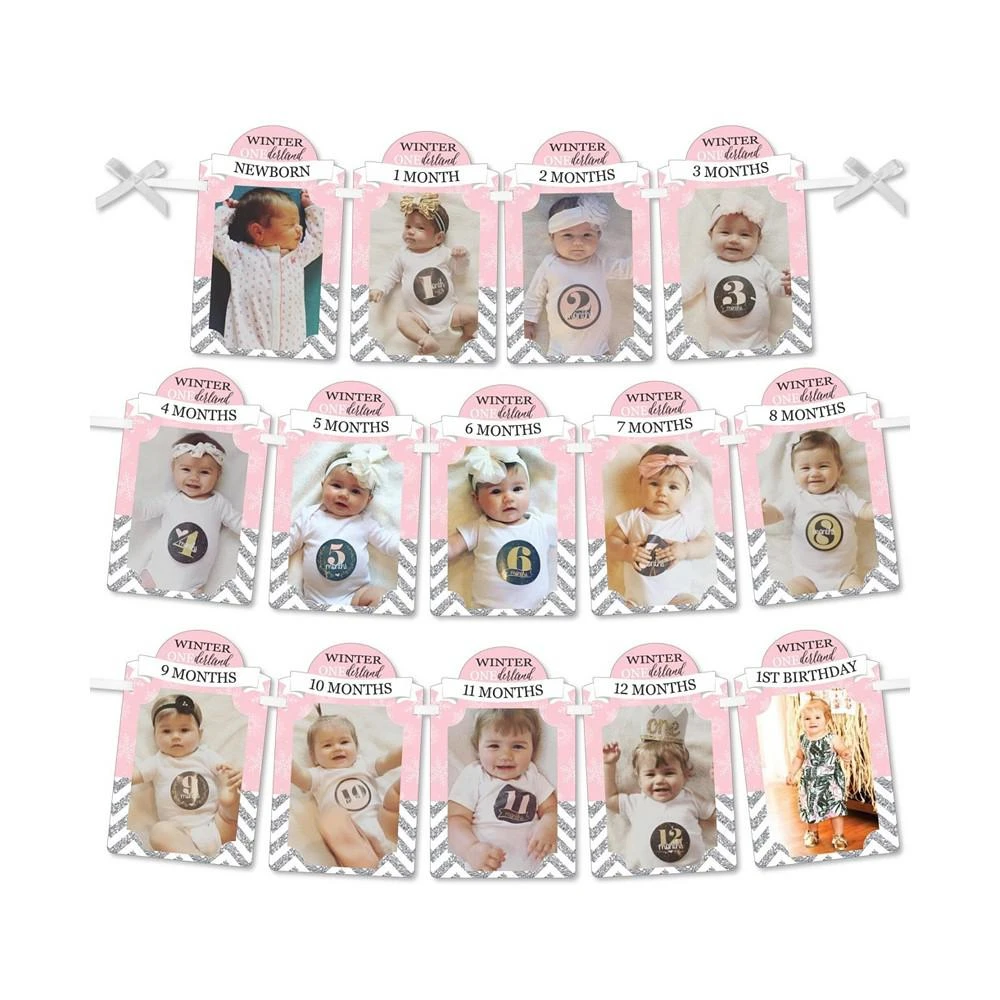 商品Big Dot of Happiness|Pink ONEderland - DIY Snowflake Party Decor Monthly Picture Display Photo Banner,价格¥119,第1张图片