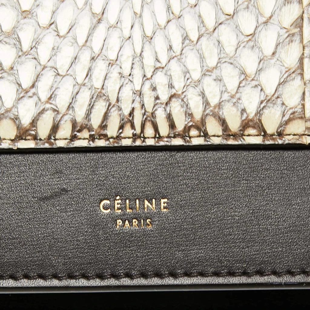 Celine Multicolor Leather and Snakeskin Pocket Envelope Shoulder Bag 商品