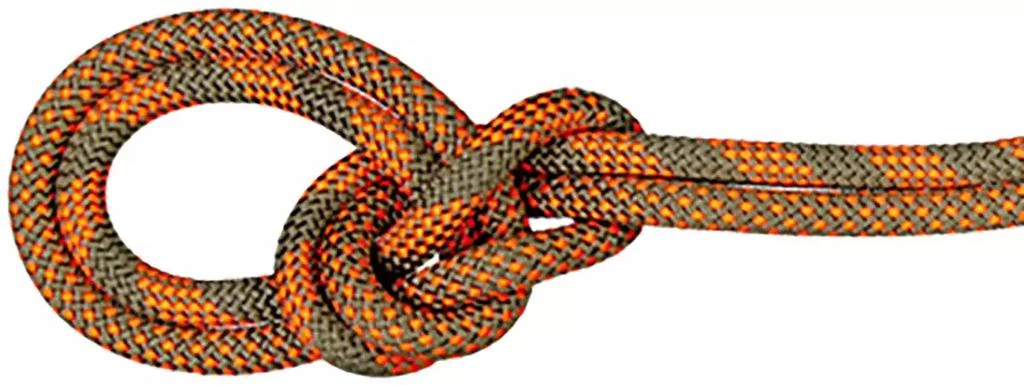 商品Mammut|Mammut 9.5 Crag Dry Rope Duodess,价格¥1752,第1张图片