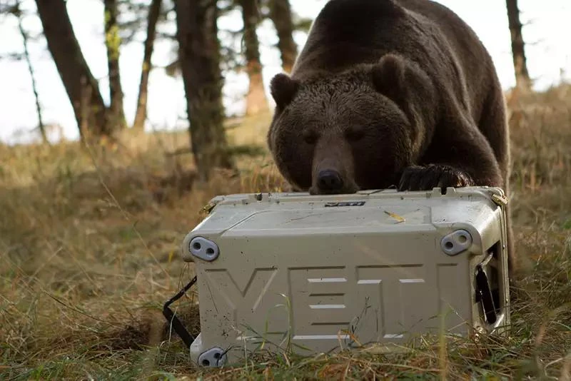 商品YETI|YETI Tundra 250 Cooler,价格¥8293,第5张图片详细描述