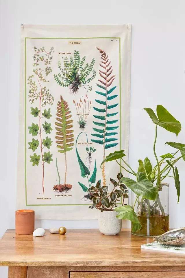 商品Urban Outfitters|Specimen Reference Flag Tapestry,价格¥143,第1张图片