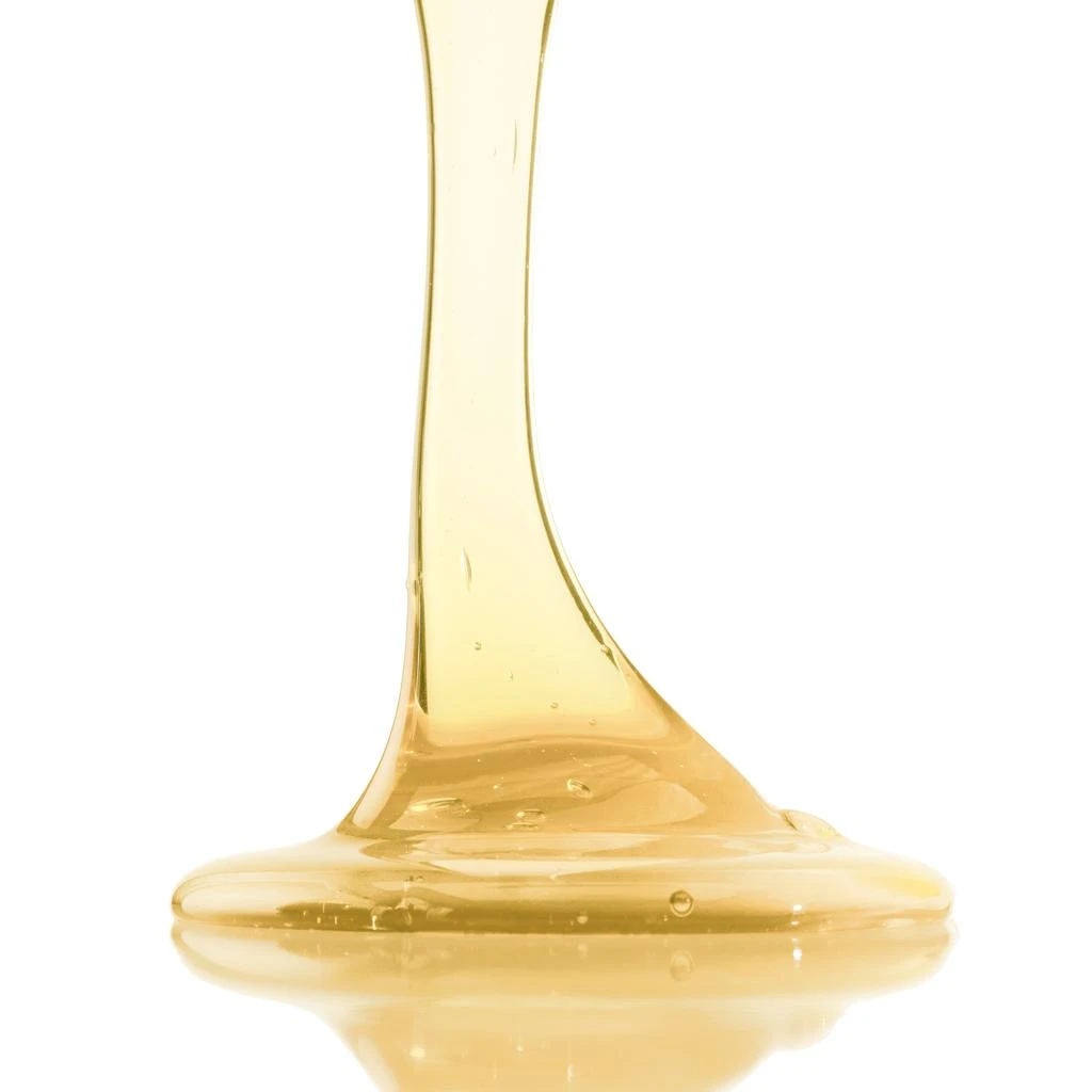 商品Leonor Greyl|Leonor Greyl Bain TS Shampooing Balancing Shampoo,价格¥421,第2张图片详细描述