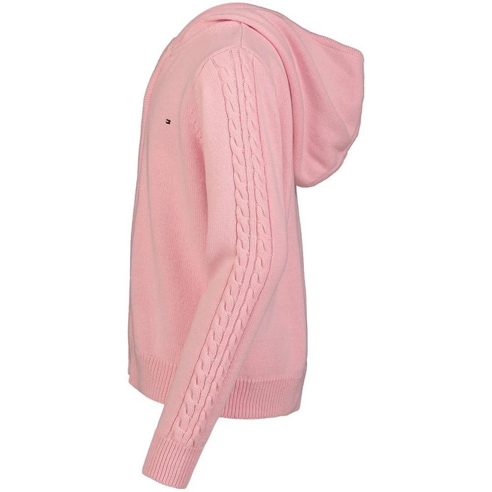 商品Tommy Hilfiger|儿童 毛衣连帽衫,价格¥180,第3张图片详细描述