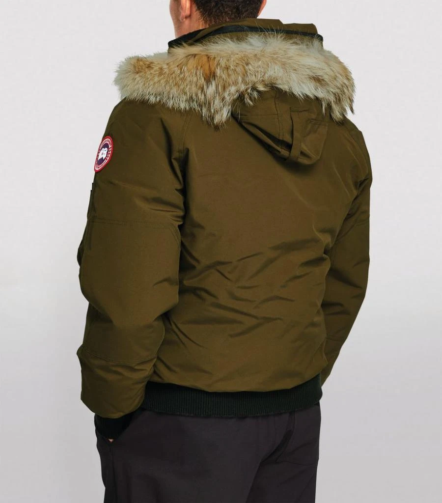 商品Canada Goose|Chilliwack Bomber Jacket,价格¥7871,第4张图片详细描述