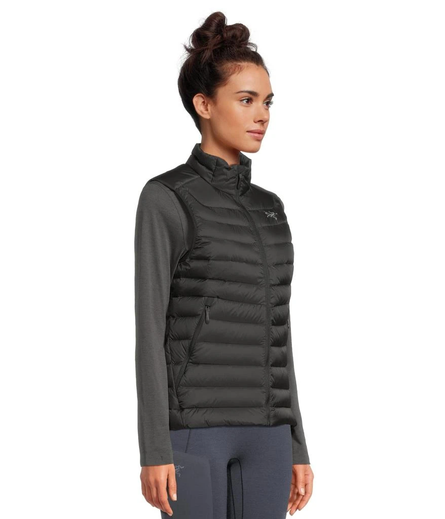 商品Arc'teryx|Cerium Vest,价格¥2349,第2张图片详细描述