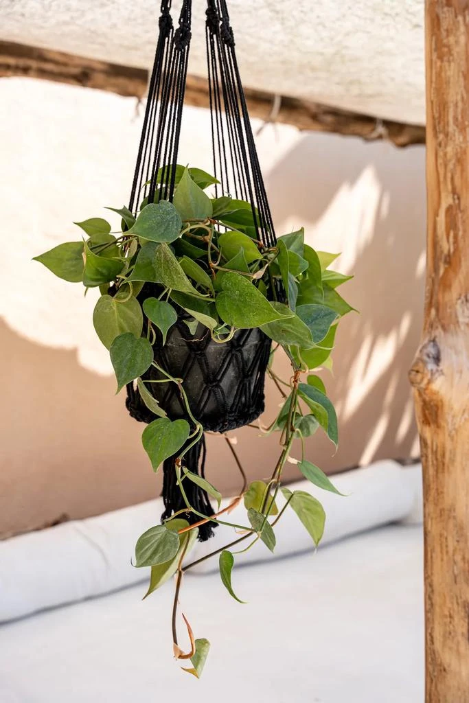 商品预计3周后发货 Bazar Bizar|Le Porte-Plante Macramé - Noir - L,价格¥9239,第1张图片