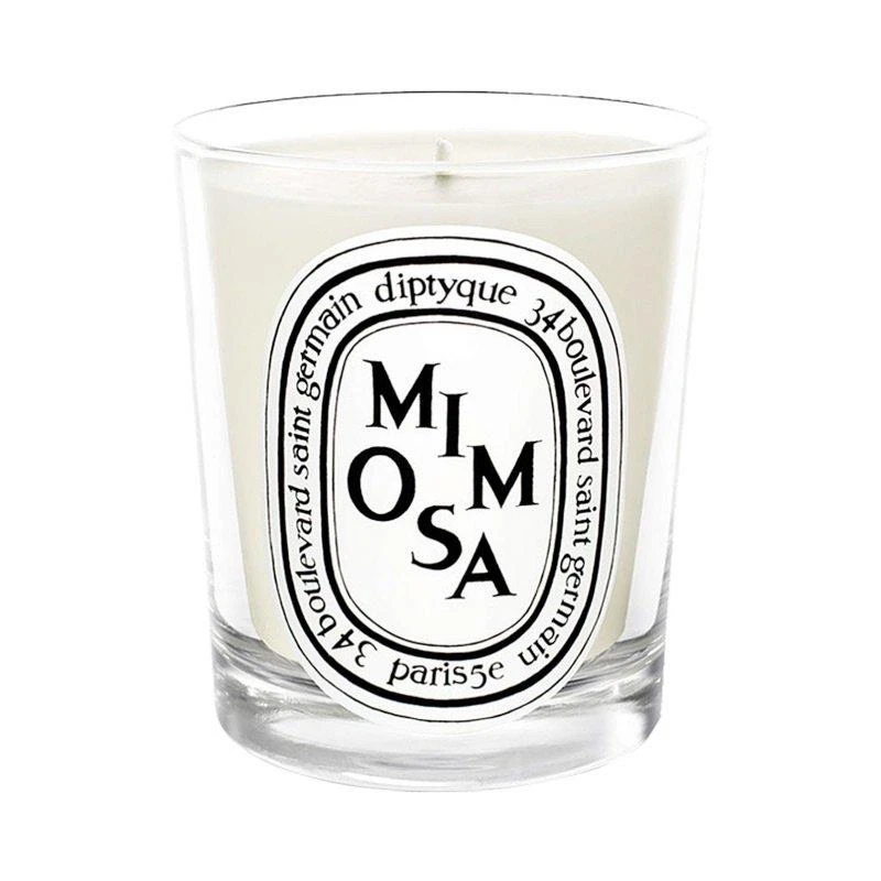 商品Diptyque|Diptyque 蒂普提克 香氛蜡烛-含羞草 190g,价格¥1103,第1张图片