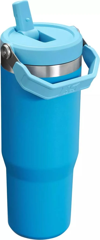 商品Stanley|Stanley 30 oz. IceFlow Flip Straw Tumbler,价格¥171,第2张图片详细描述