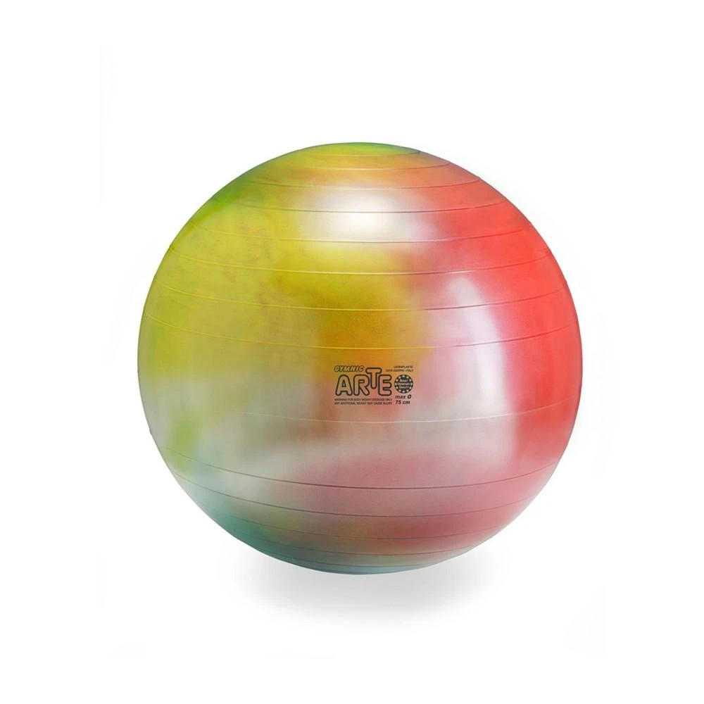 商品Gymnic|Arte Exercise Ball Plus 75,价格¥521,第1张图片