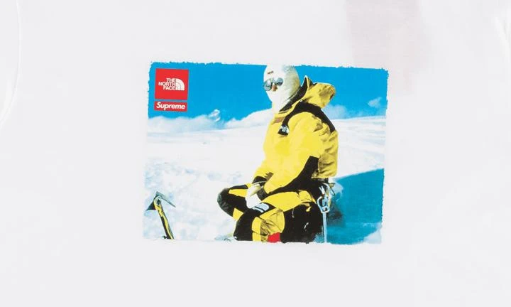 商品Supreme|Supreme TNF Photo T恤,价格¥1345,第4张图片详细描述