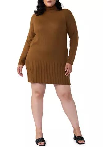Plus Size Mini Sweater Dress商品第1张图片规格展示