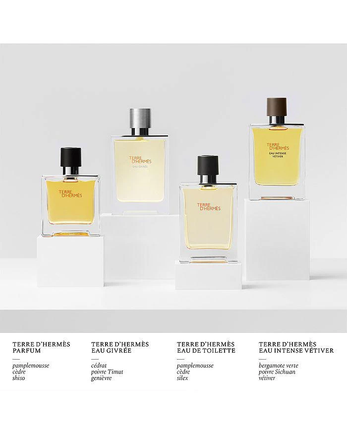 商品Hermes|Terre d'Hermès Eau Givrée Eau de Parfum Refill 4.2 oz.,价格¥1102,第4张图片详细描述