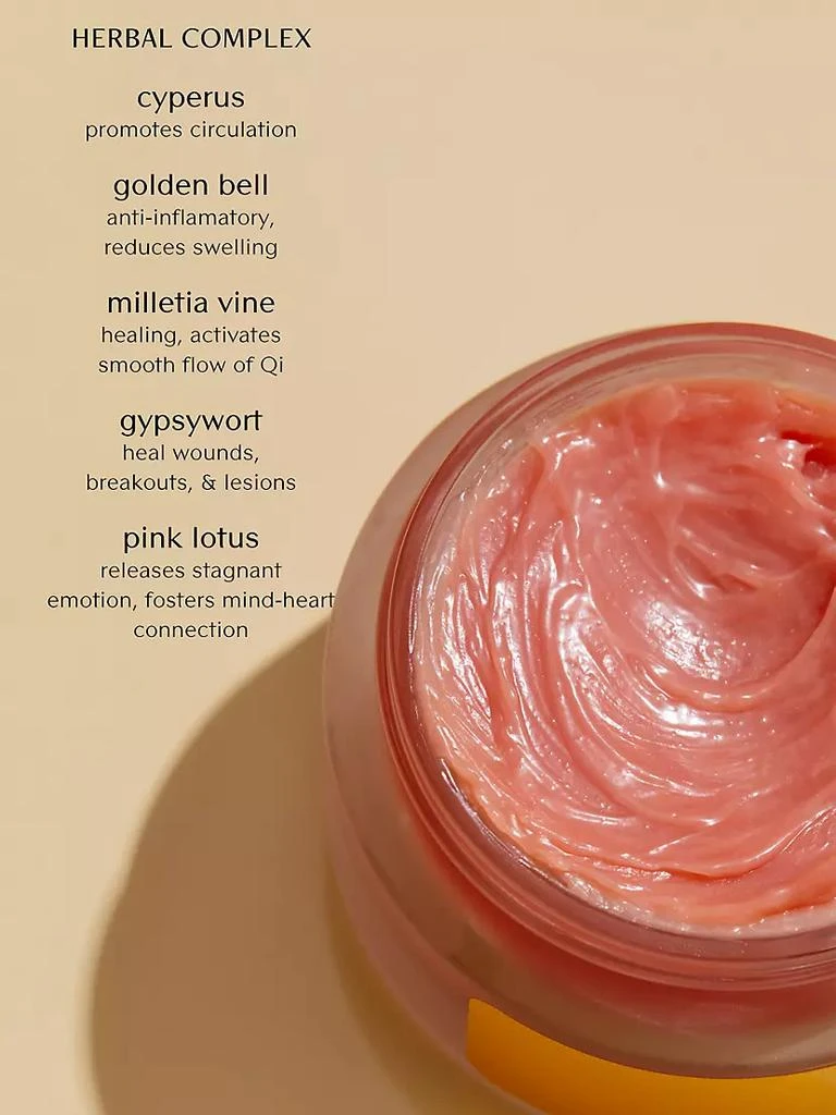 商品YINA|Décolletage Treatment,价格¥637,第3张图片详细描述