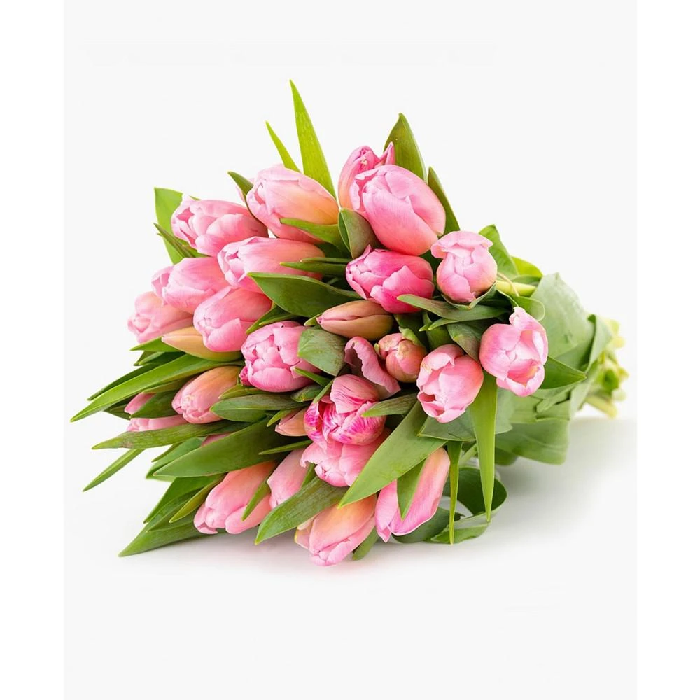 商品BloomsyBox|Princess Tulip Fresh Flower Bouquet,价格¥427,第4张图片详细描述