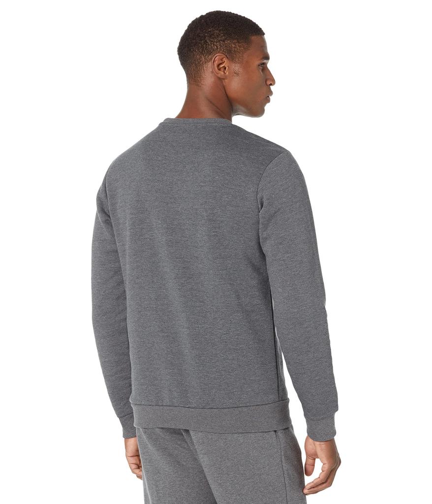 Essentials Big Logo Fleece Sweatshirt商品第2张图片规格展示