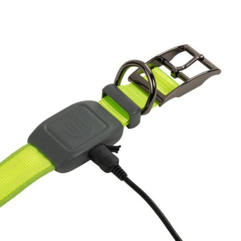 NITE IZE - NITE DOG RHRG LED COLLAR - MEDIUM - Lime 商品