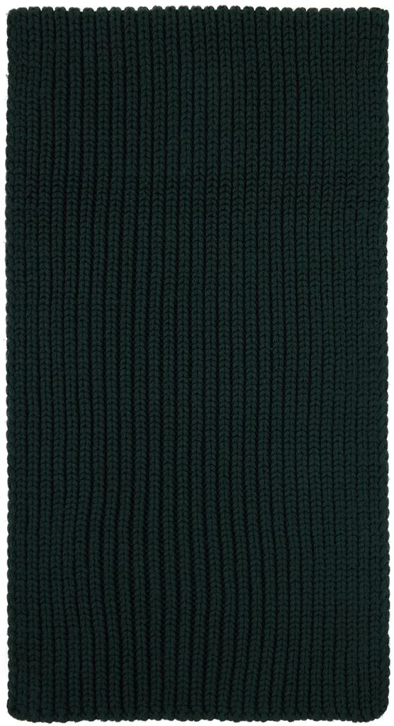 商品Lanvin|Green Patch Scarf,价格¥1191,第2张图片详细描述