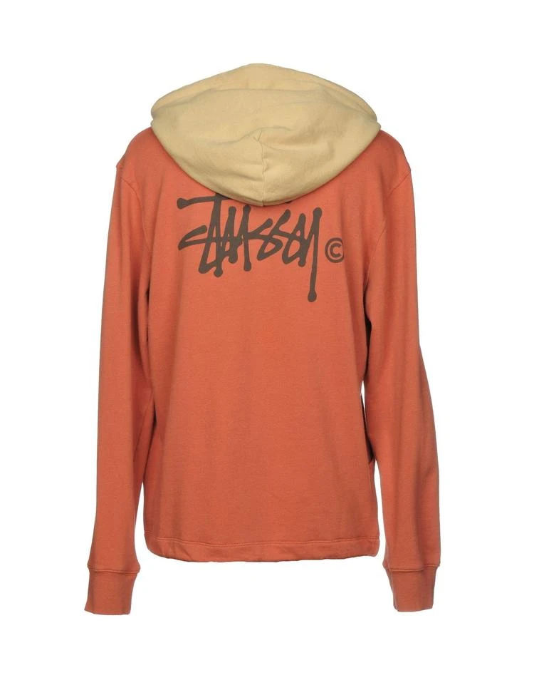 商品STUSSY|TWO TONE 帽衫,价格¥1590,第2张图片详细描述