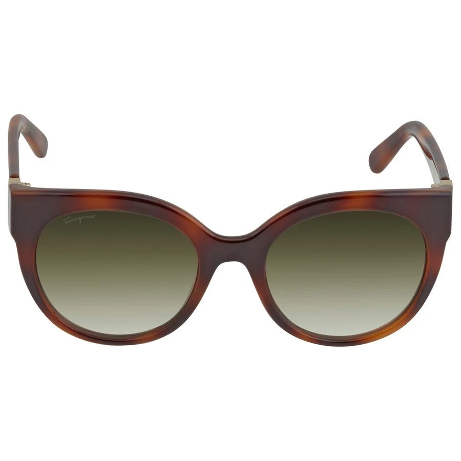 商品Salvatore Ferragamo|Salvatore Ferragamo Green Cat Eye Ladies Sunglasses SF1031S 214 53,价格¥422,第1张图片