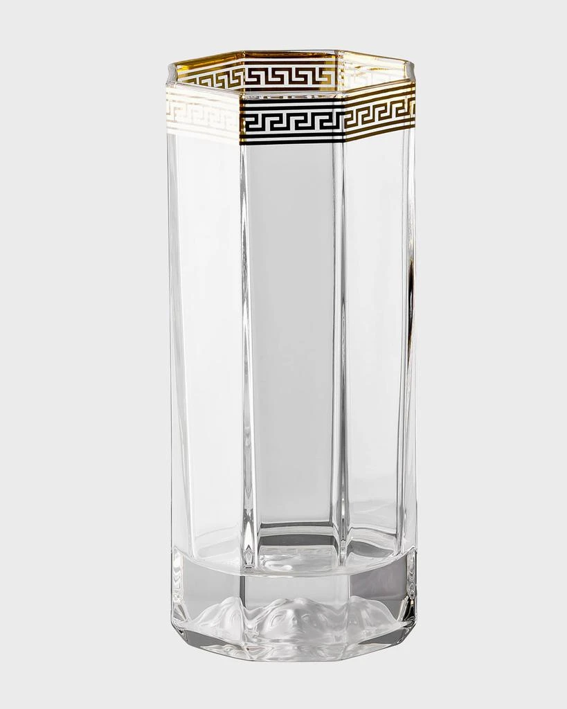 商品Versace|Medusa D'or Tall Drinking Glasses, Set of 2,价格¥2638,第1张图片