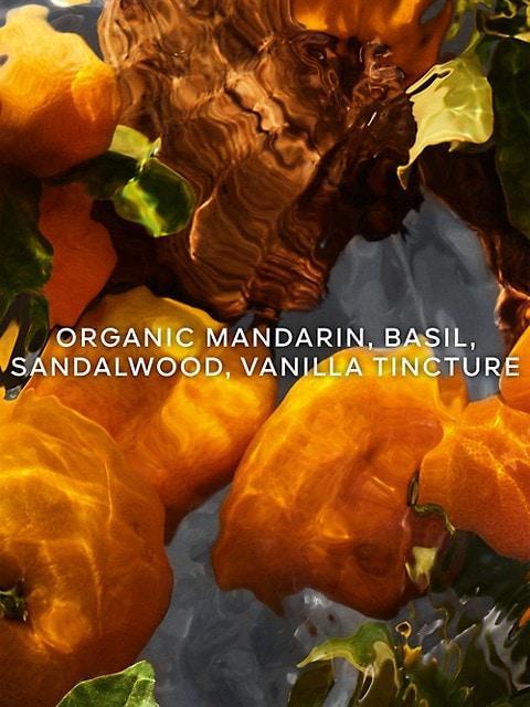 商品Guerlain|Aqua Allegoria Forte Mandarine Basilic Eau De Parfum,价格¥1030,第5张图片详细描述