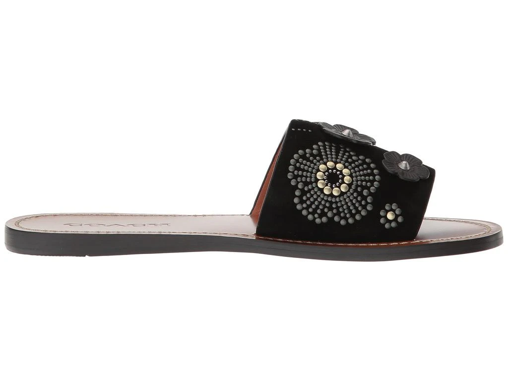 Tea Rose Rivet Slide 商品