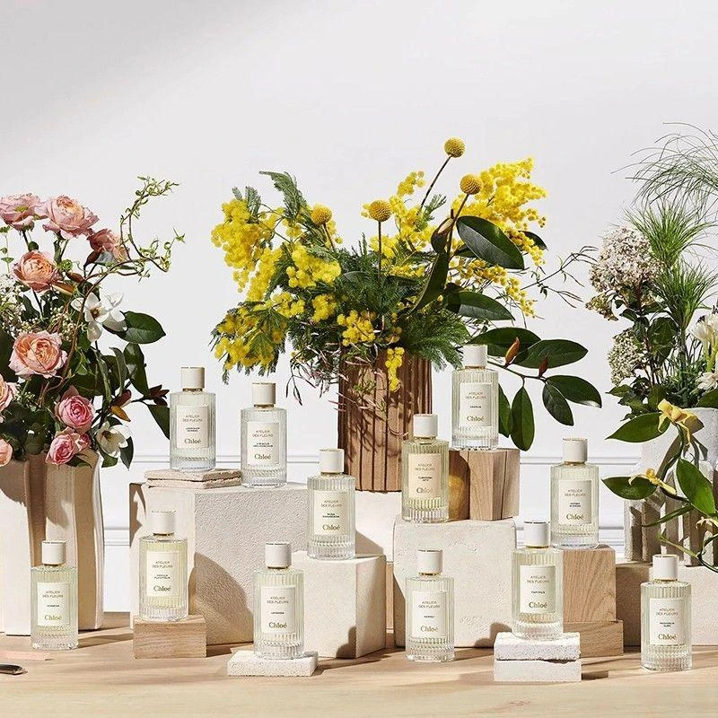 商品Chloé|Chloe蔻依仙境花园系列香氛女士香水50ml 「CEDRUS-北国雪松」,价格¥1990,第3张图片详细描述