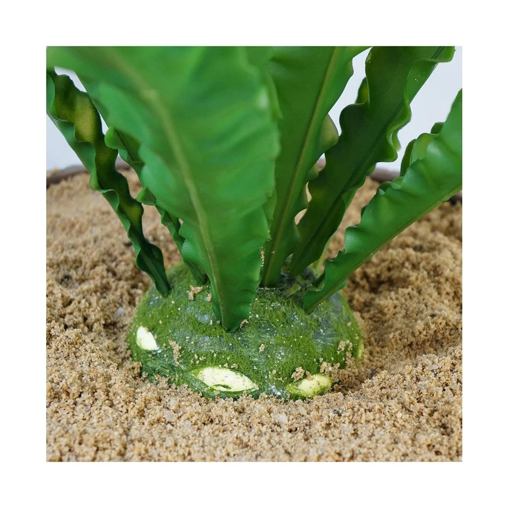 商品Vintage Home|45.5" Real Touch Agave in Fiberstone Planter,价格¥4857,第2张图片详细描述