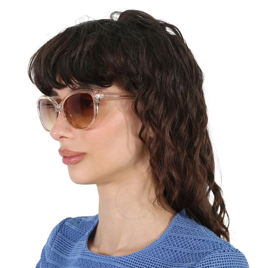 商品Calvin Klein|Brown Gradient Cat Eye Ladies Sunglasses CK19536S 270 55,�价格¥187,第2张图片详细描述