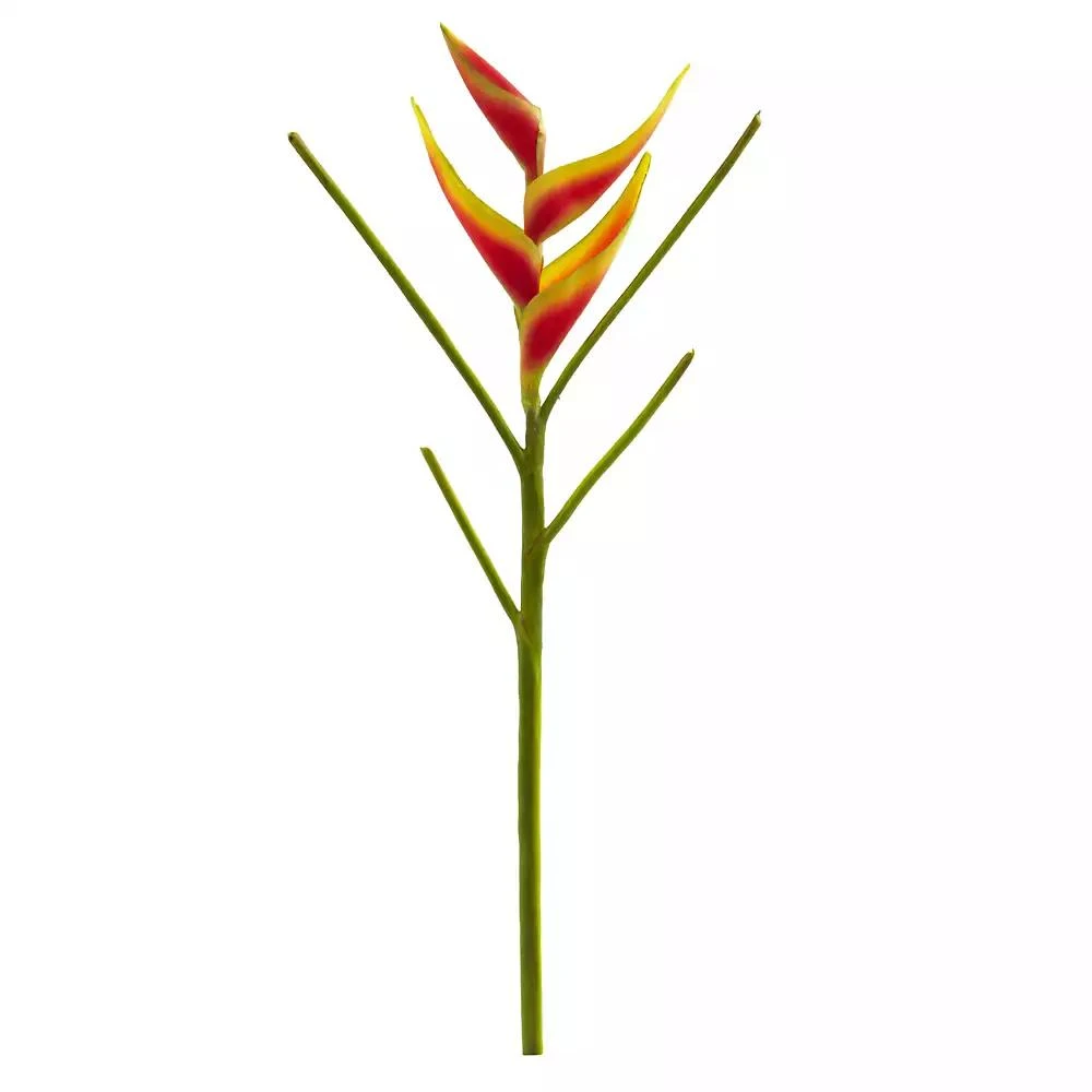 商品NEARLY NATURAL|26-In. Heliconia Artificial Flower, Set of 4,价格¥505,第1张图片