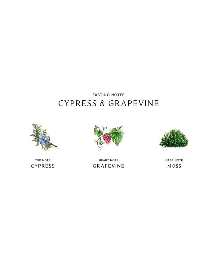 商品Jo Malone London|Cypress & Grapevine Body & Hand Wash 8.5 oz.,价格¥489,第2张图片详细描述