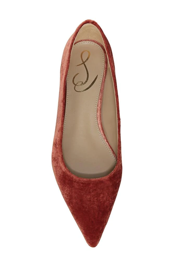 商品Sam Edelman|Wanda Pointed Toe Flat - Wide Width Available,价格¥342,第5张图片详细描述