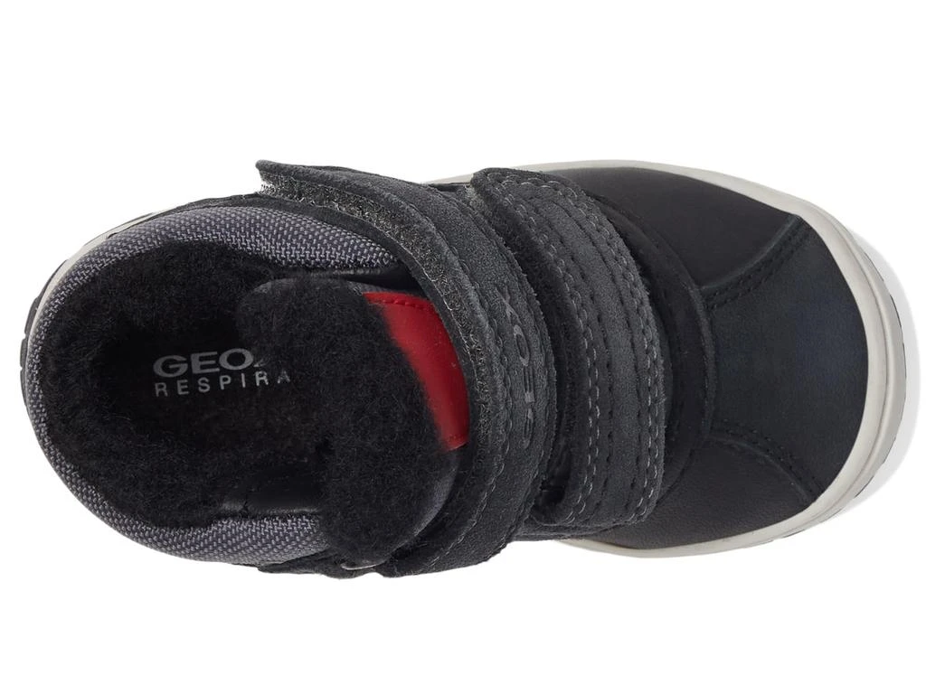 商品Geox|Omar WPF7 (Toddler),价格¥466,第2张图片详细描述