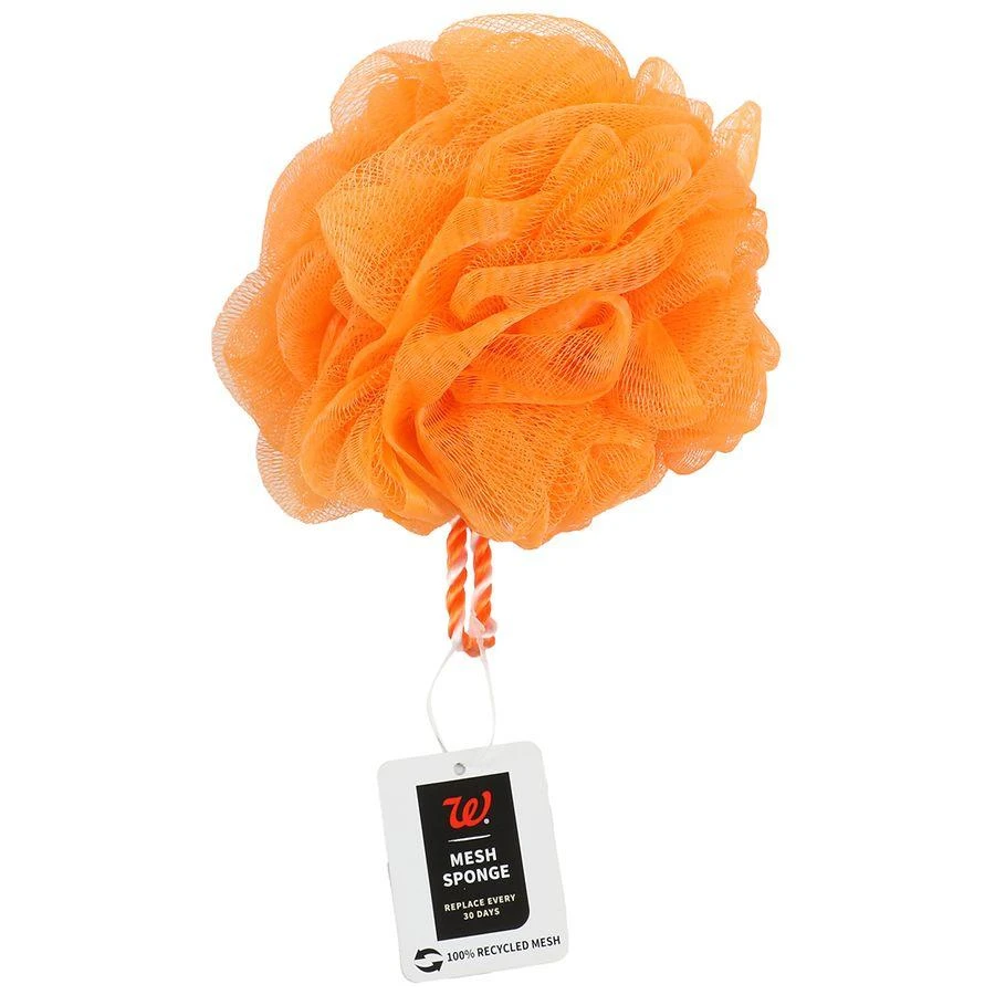 商品Walgreens|Mesh Bath Sponge,价格¥15,第1张图片