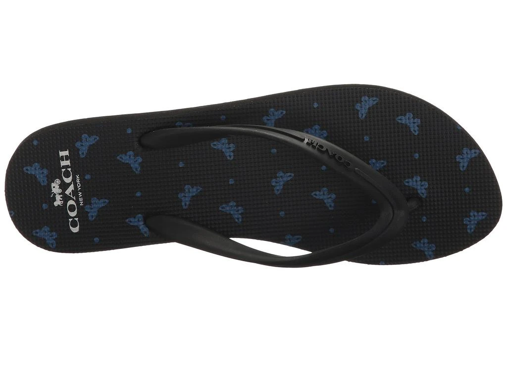 商品Coach|Cleo Flip-Flop,价格¥151,第2张图片详细描述