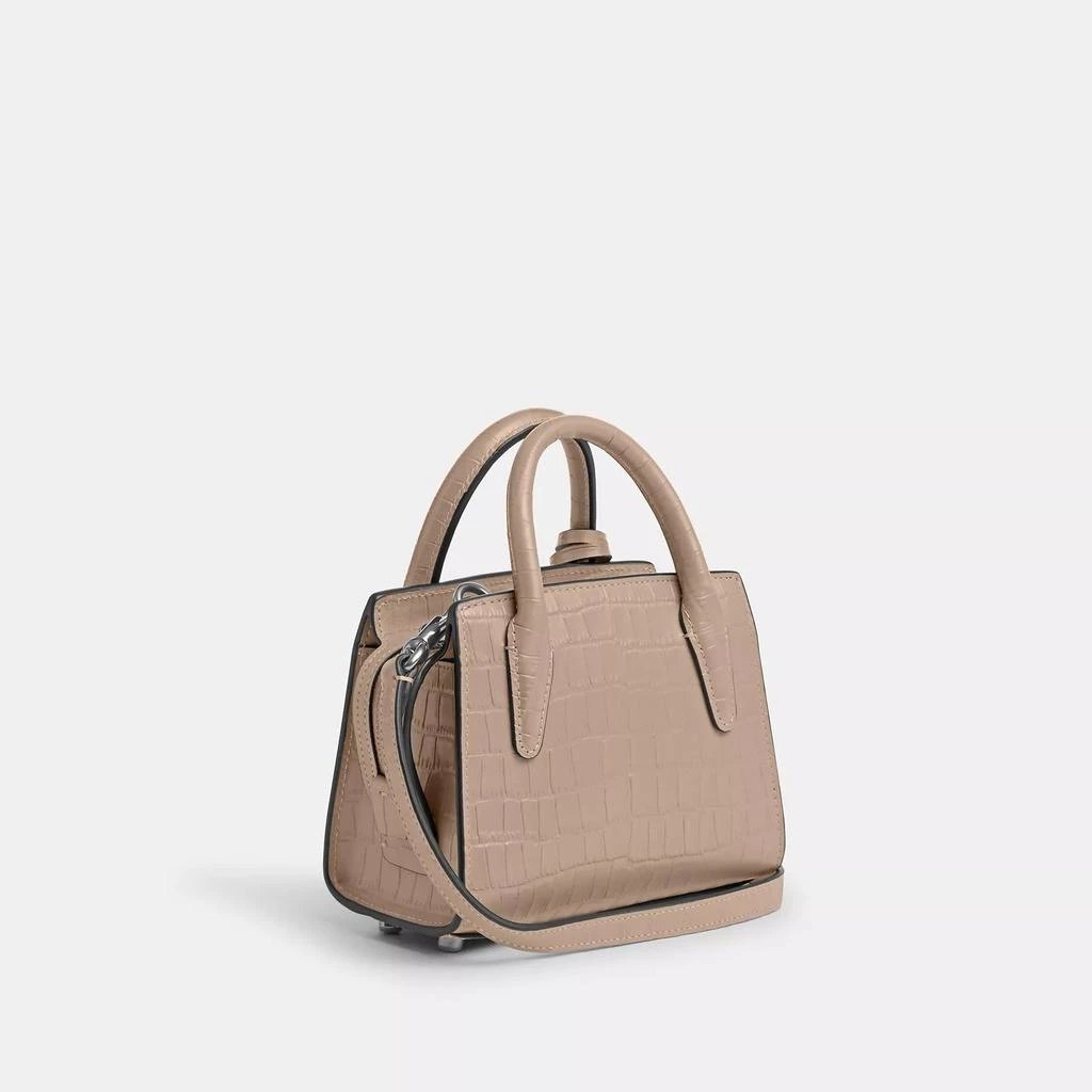 商品Coach|Andrea Mini Carryall,价格¥1205,第2张图片详细描述