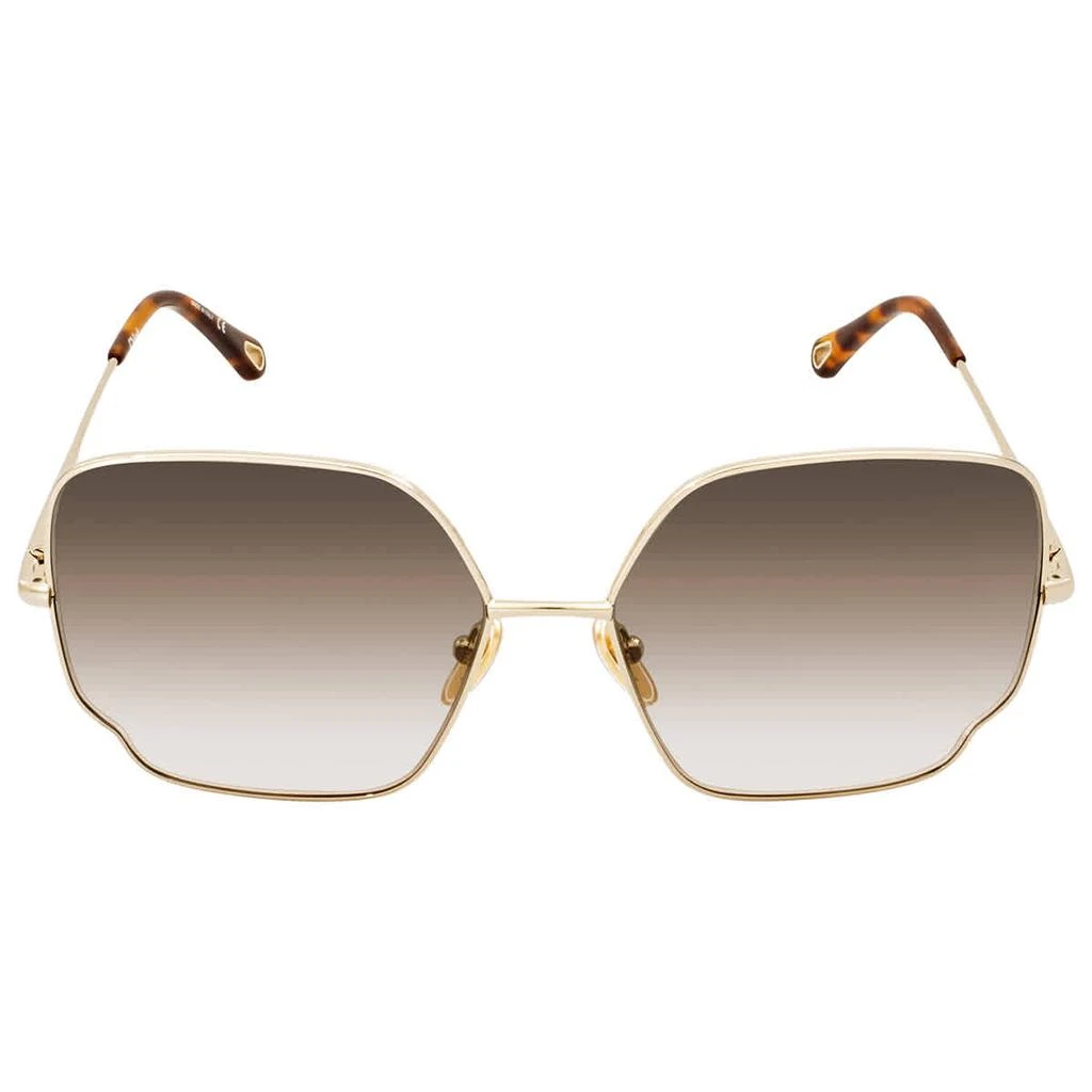 商品Chloé|Chloe Brown Gradient Butterfly Ladies Sunglasses CH0092S 001 60,价格¥1300,第2张图片详细描述